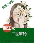 重生之二世军婚