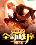 海贼王之全新秩序