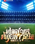 被解约后,我统治了足坛百度百科