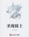 神圣龙骑士