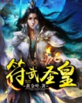 符武圣皇 小说