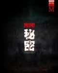 秘密(谜小说系列)
