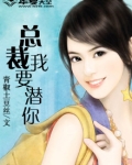 总裁我要你爱我