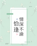 恰逢情深不渝免费阅读