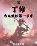 丁修武功第一