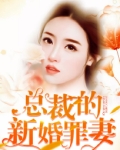 总裁的新婚罪妻结局