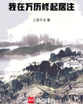 我在万历修起居注txt