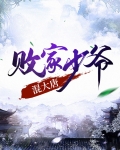 大唐:败家赘婿