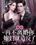 沈总，再不离婚你媳妇就造反了