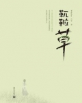 }B草皮鞋怎么样