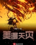 美漫天灾小说