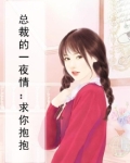 总裁之一夜情深