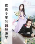 修真少年的超酷妻子小说