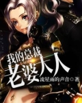 我的总裁老婆大人冥王