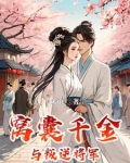 窝囊千金与叛逆将军的关系