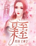 夏至未至小说