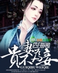 贵妻不为妾