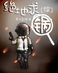 绝地求生αwm