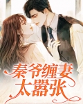 秦爷宠妻无度