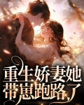 《重生娇妻携夫撒糖》