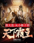 假太监从小陈子到天下霸主 洛歌