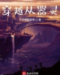 穿越到器灵的无限小说