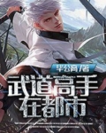 武道高手在都市漫画