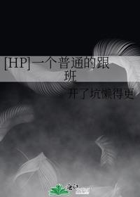 hp一个普通的小跟班