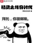 精灵之传奇时代在线阅读