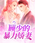 顾少娇妻闪婚
