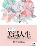 穿越之美满人生 小说