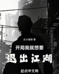开局我就想要退出江湖作者炎火璀璨