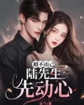 婚不由己:陆先生先动心