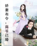 娇妻甜蜜蜜,总裁有喜了 全文免费阅读