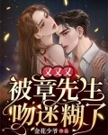 又又又被章先生吻迷糊了！