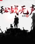 秘战无声罗耀