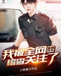 正规洗车视频