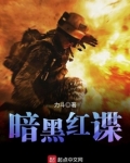 暗黑红谍全文免费阅读