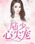 陆少的心尖宠莫暖陆琛全文