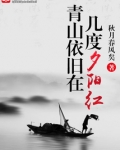 一抹残阳映青山TXT免费全本下载