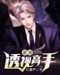 都市最强透视高手