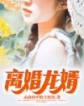 离婚龙婿 小说