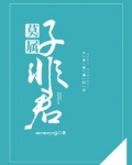 非君子啥意思