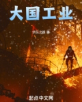 大国工业电视剧
