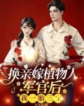 军嫂小说全文免费阅读