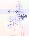 小小少年歌词