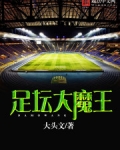 足坛大魔王之六