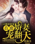 闪婚甜蜜蜜：首席娇妻宠翻天