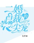 二婚总裁的心尖宠 女乔