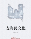 支海民文集